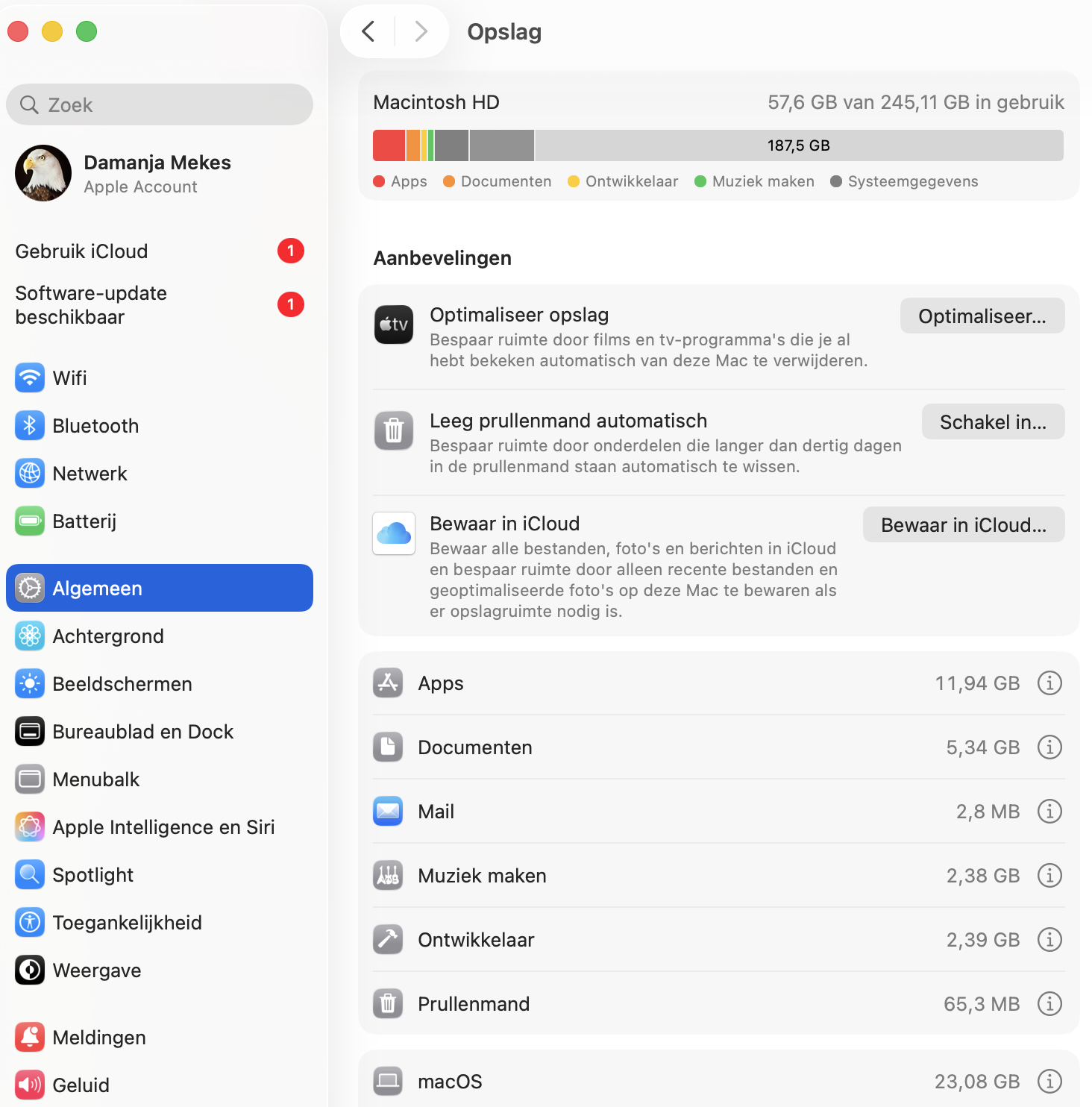 Controleer elke categorie van Opslag om te zien hoe de harde schijf wordt gebruikt.