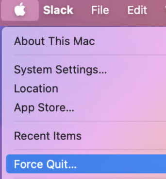To force stop an app within the Apple Force Quit Menu, you’ll first need to click on the Apple icon and then choose Force Quit.