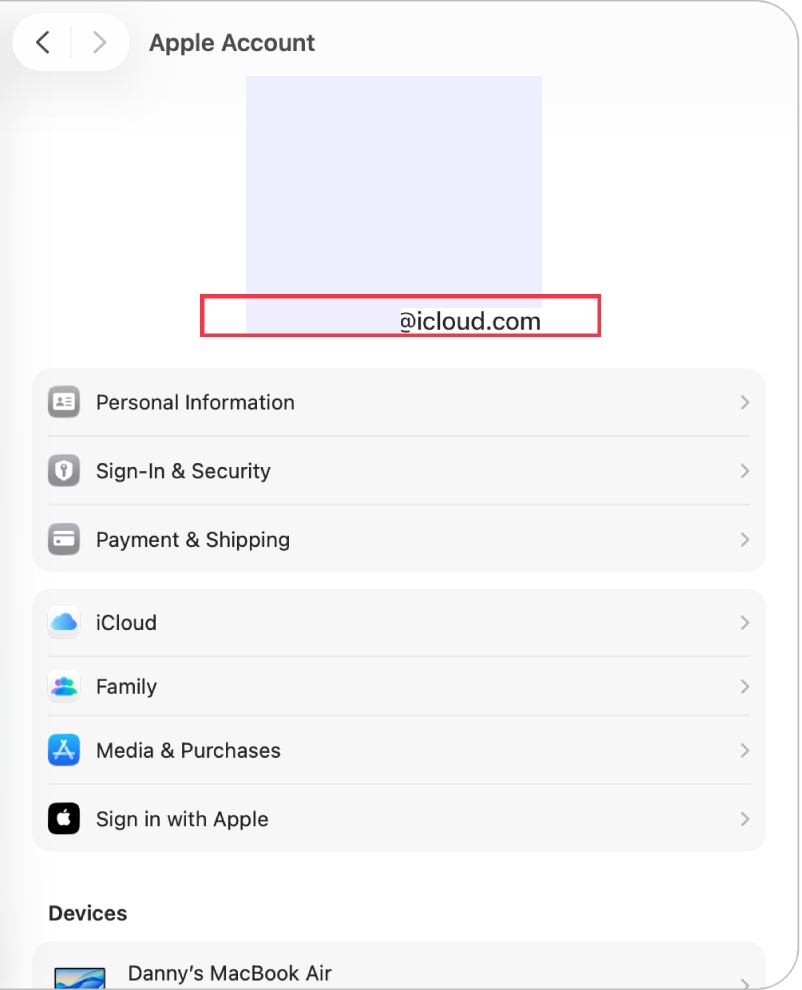 Check your Apple account details in Apple Account settings. Verifying the email you’re signed in to is crucial when the Notes app is not working.