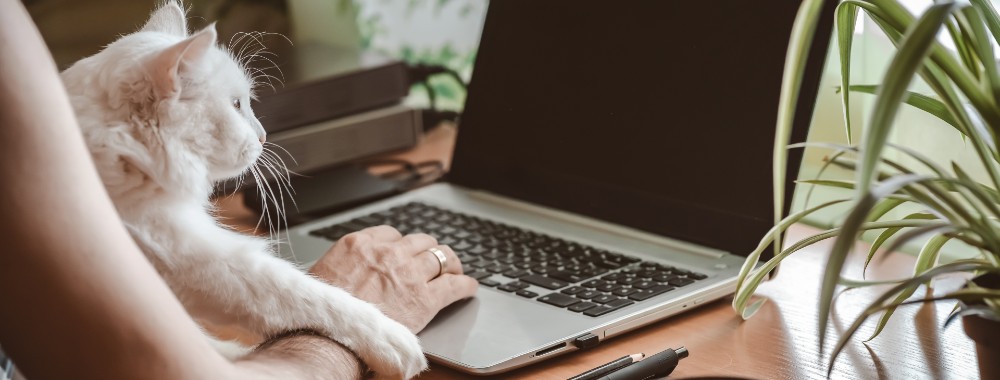 How to Enable Kernel Extensions on Mac