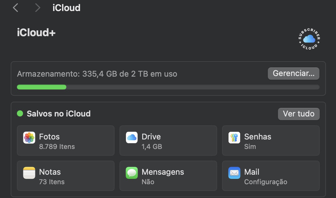 Nos Ajustes do Sistema, você verá uma opção para fazer upgrade para o iCloud+. Clique nela e suas opções de assinatura aparecerão.