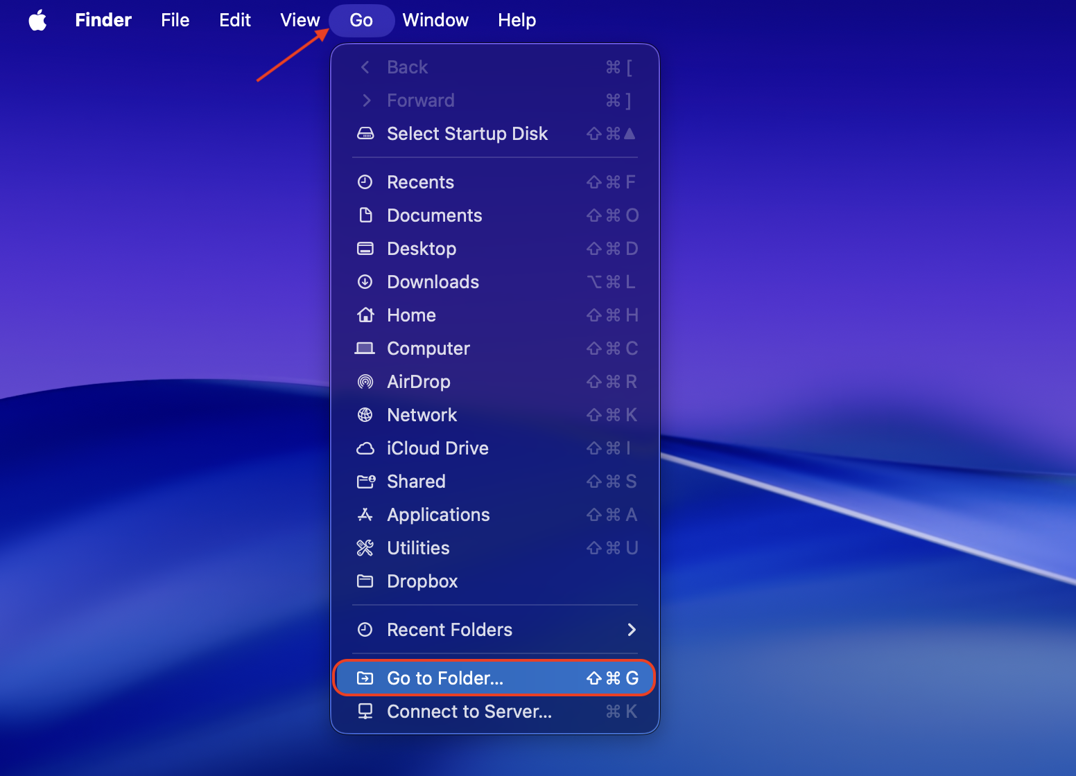The Go to Folder window is open on the Mac desktop.