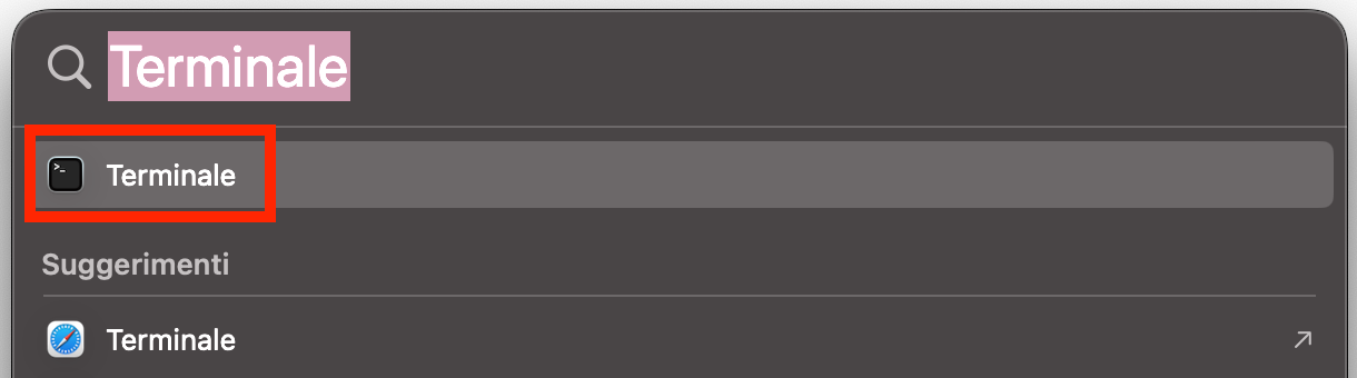 In Spotlight, digita Terminale nella barra di ricerca. L’app dovrebbe comparire in cima ai risultati e puoi selezionarla per continuare con la procedura.