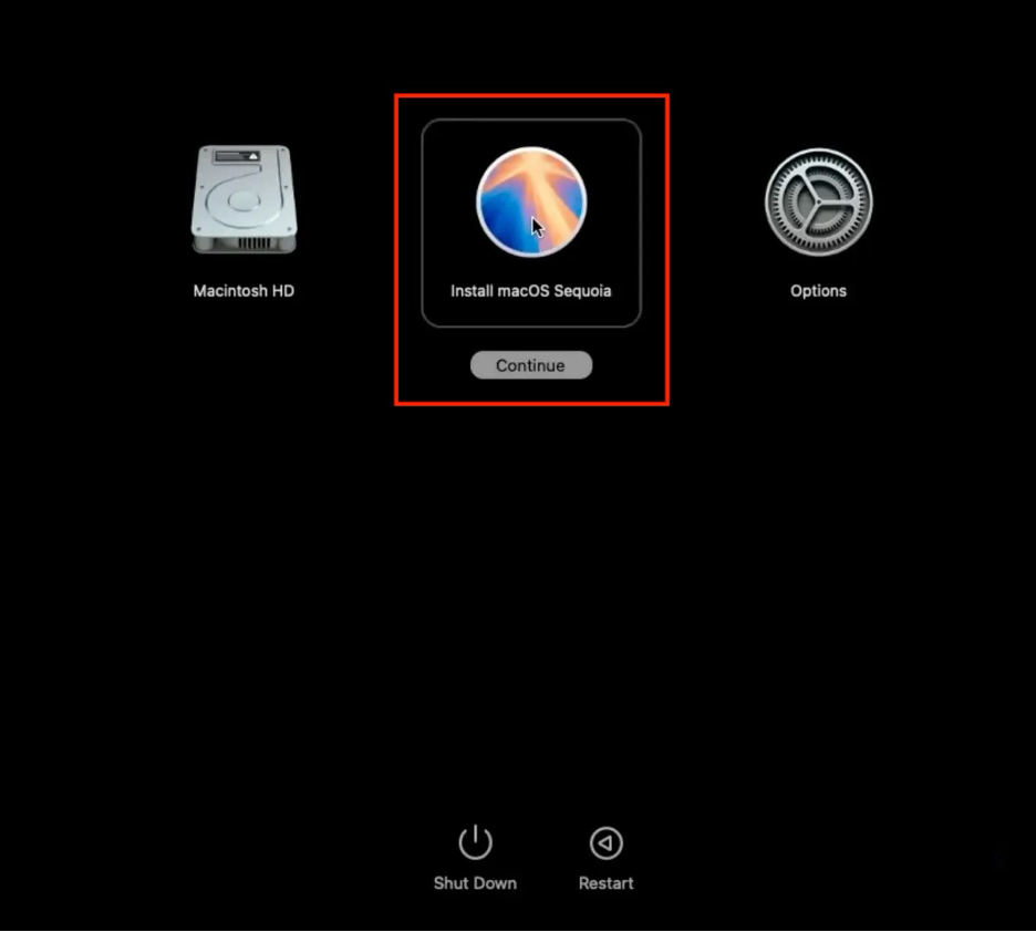 To use a bootable USB installer to reinstall macOS on your Mac and fix the installer information on the recovery server is damaged error, select the macOS installer disk on your screen.