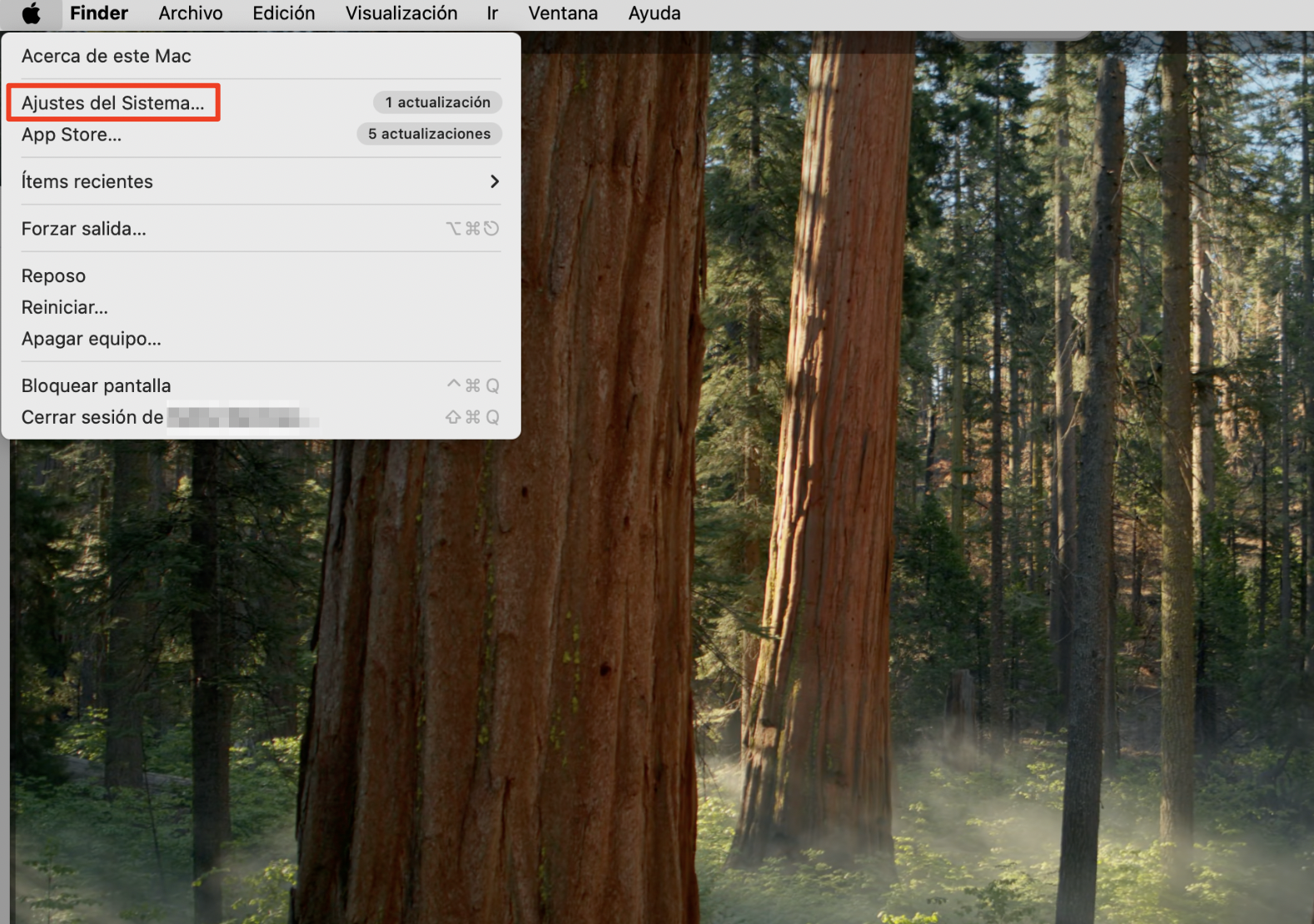 Para descargar tus fotos de iCloud a tu Mac, empieza por acceder a la configuración de iCloud en Ajustes del Sistema. Esto te permitirá transferir y guardar de forma eficiente tus fotos desde iCloud a tu Mac.