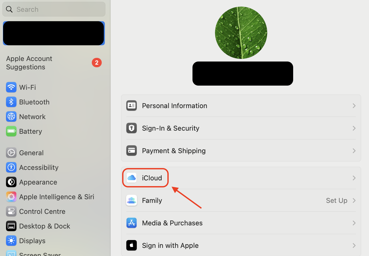 Go to System Settings, select your Apple ID at the top, then choose iCloud to manage syncing and storage options for your Mac.