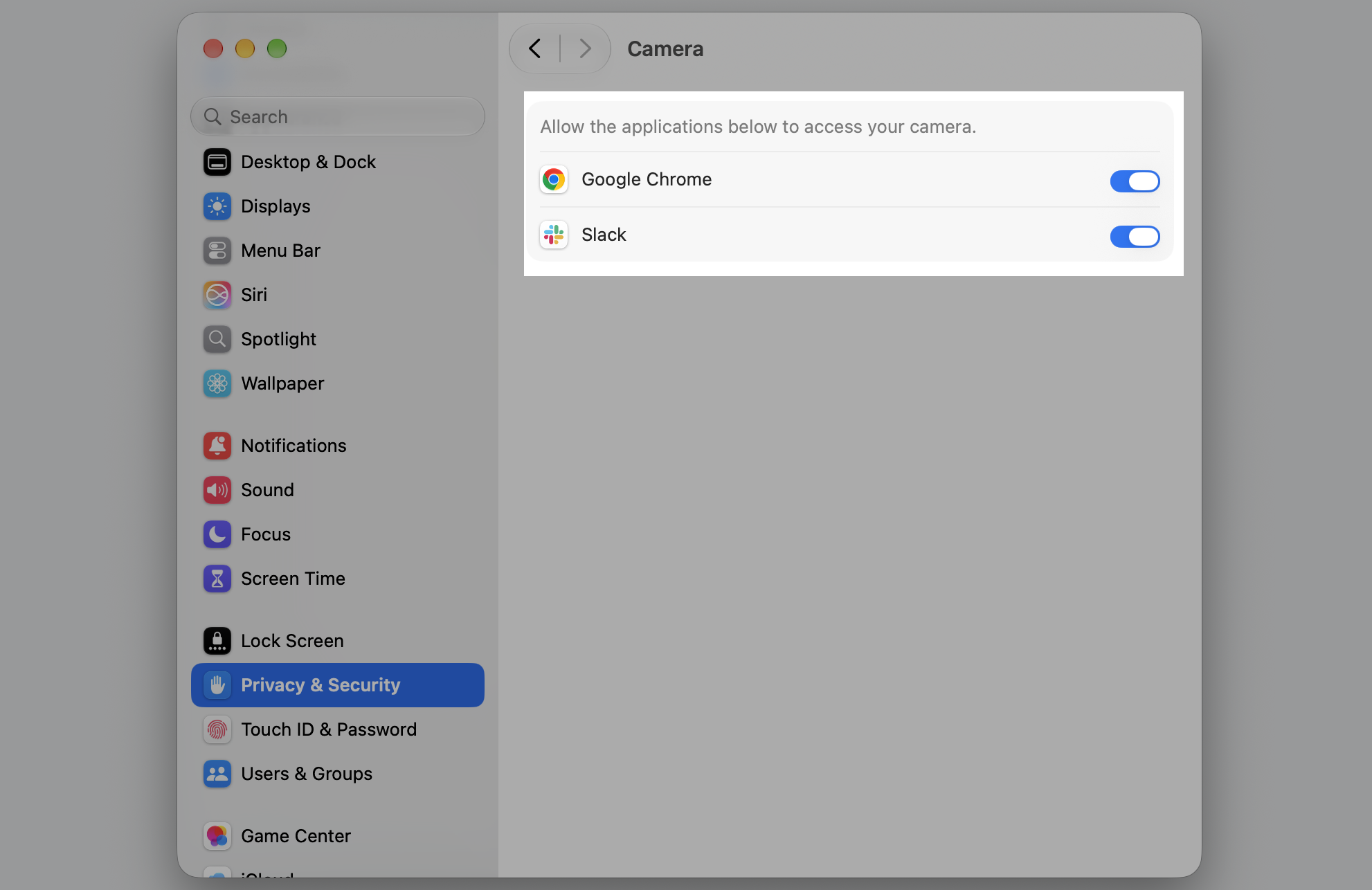 Camera permissions pane in macOS System Settings showing Google Chrome and Slack toggled on to access the camera on this Apple laptop.