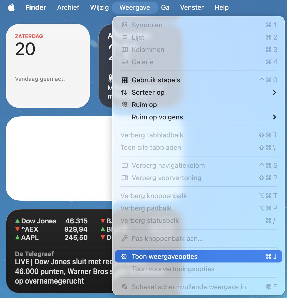 Open de Weergaveopties door in de menubalk op ‘ Toon weergaveopties’ te klikken en de juiste optie te selecteren.
