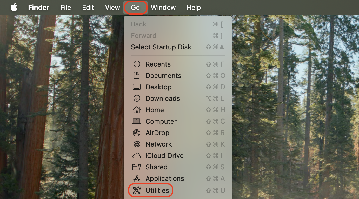 Click the Apple menu, open Go in the menu bar, then select Utilities from the dropdown to access system tools like Activity Monitor.