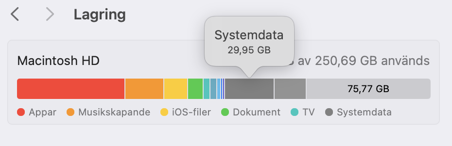 Sedan macOS Sierra introducerades har etiketten ‘Övrigt’ bytt namn till Systemdata. Så när du håller muspekaren över de olika färgade avsnitten i ditt lagringsdiagram, leta efter Systemdata istället för Övrigt.