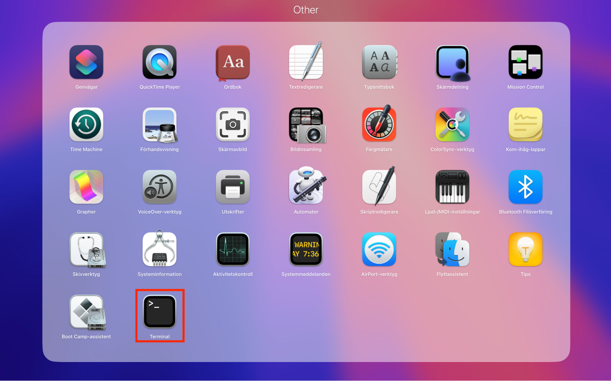 Mappen Other inuti Launchpad på Mac, som visar Terminal-ikonen. Öppna Terminal för att frigöra RAM-minne på din Mac.