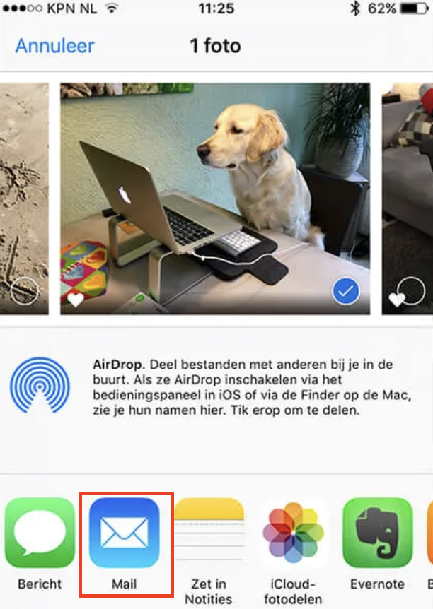 Deel foto’s via e-mail. Selecteer de foto’s, tik op Deel en kies Mail.
