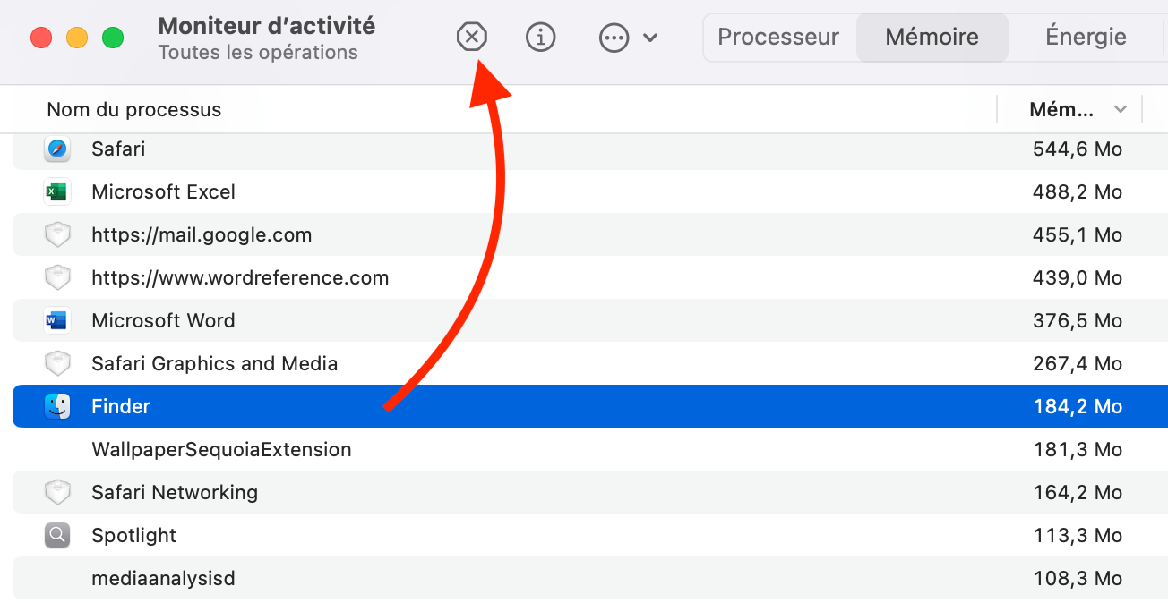Sélectionnez l’application qui accapare le plus de RAM et cliquez sur le bouton « x ».