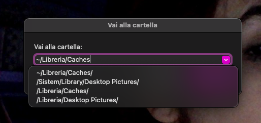 Digitare ~/Library/Caches, quindi premere Vai. In questo modo si accede direttamente ai file di cache dell'utente, che coprono più applicazioni sul Mac.