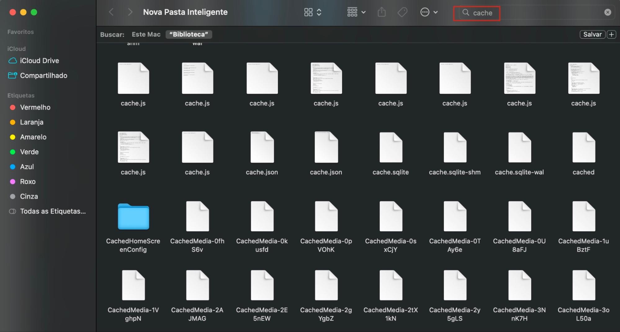 Você poderá encontrar o armazenamento Outros no macOS Ventura e versões posteriores com rótulos de vários tipos de arquivos e pastas. Esses provavelmente serão cache, logs do sistema, cookies do navegador e dados de extensões.