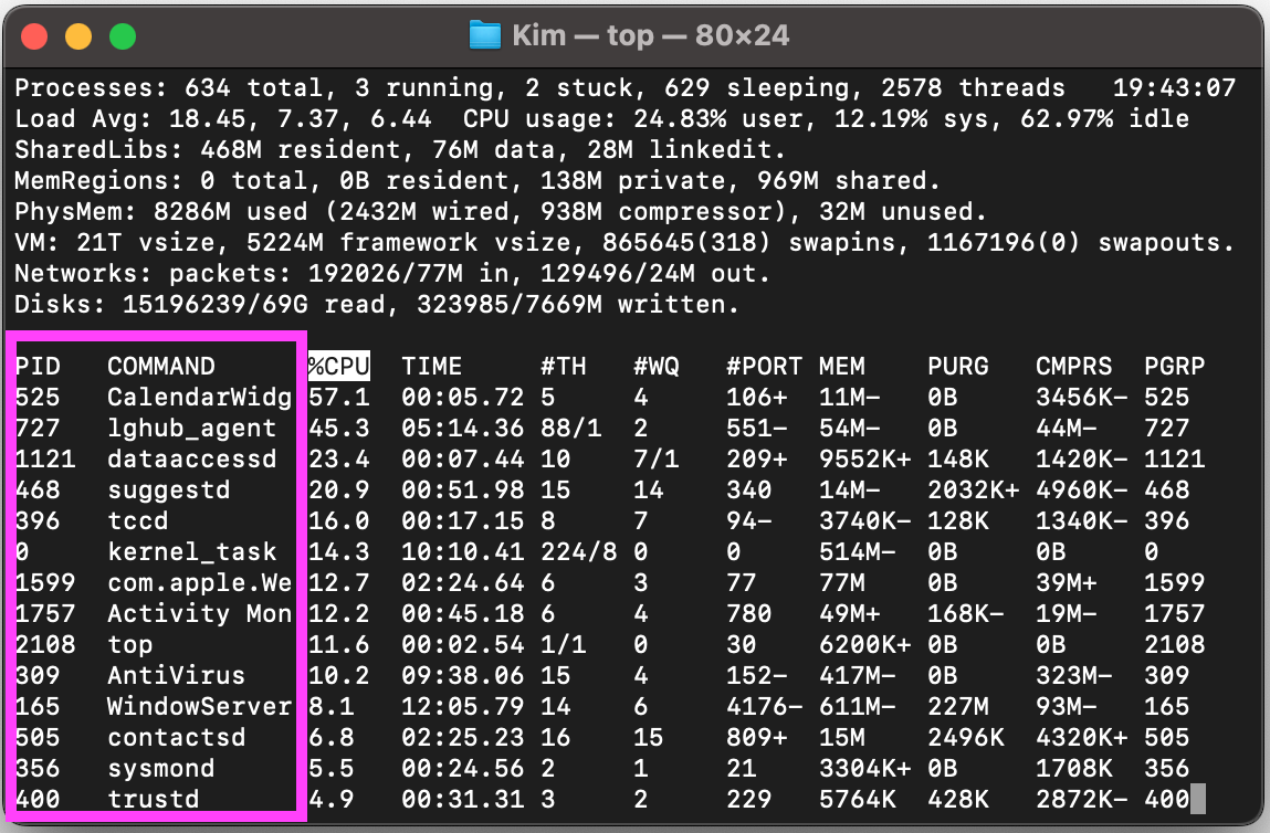 Il Terminale su Mac mostra l’elenco di tutti i processi in esecuzione. Trova quello che vuoi chiudere e annota il suo numero PID.