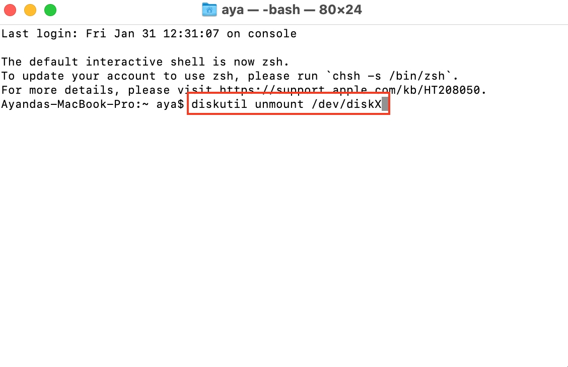 Terminal is opened in Recovery Mode. Enter the command diskutil unmount /dev/diskX to check disk health using fsck_apfs for APFS file systems.