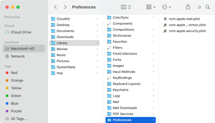 Library > Preferences folder on Mac