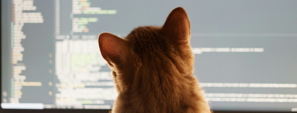Remove Purgeable Space on Mac Big Sur