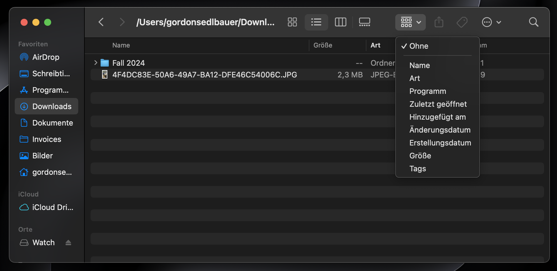 Wenn Sie ein bestimmtes Foto suchen, können Sie auf das Gruppierungssymbol klicken. Nach der Auswahl klicken Sie im Dropdown-Menü auf Art.