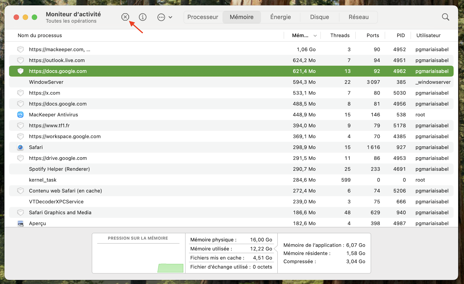 Le Moniteur d'activité sur macOS Monterey affiche une liste des processus triés par utilisation de la mémoire. Pour terminer un processus, sélectionnez-le, puis cliquez sur le bouton X.