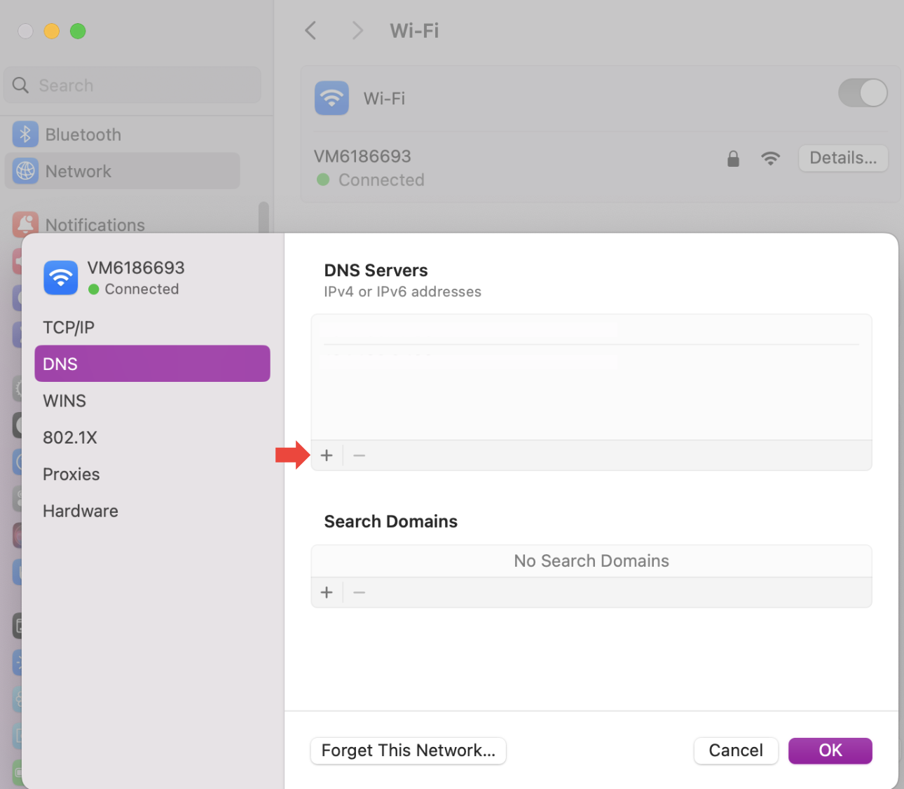 To change your DNS settings, you’ll need to open System Settings. Then go to Network and click on DNS. You’ll see a +, click on it, and add a new IP address, then click OK.