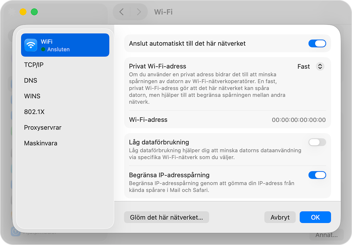 Du ser nu information om din Macs internetanslutning, inklusive de aktuella DNS-inställningarna. Klicka på knappen 'Detaljer' för att ändra dessa inställningar.