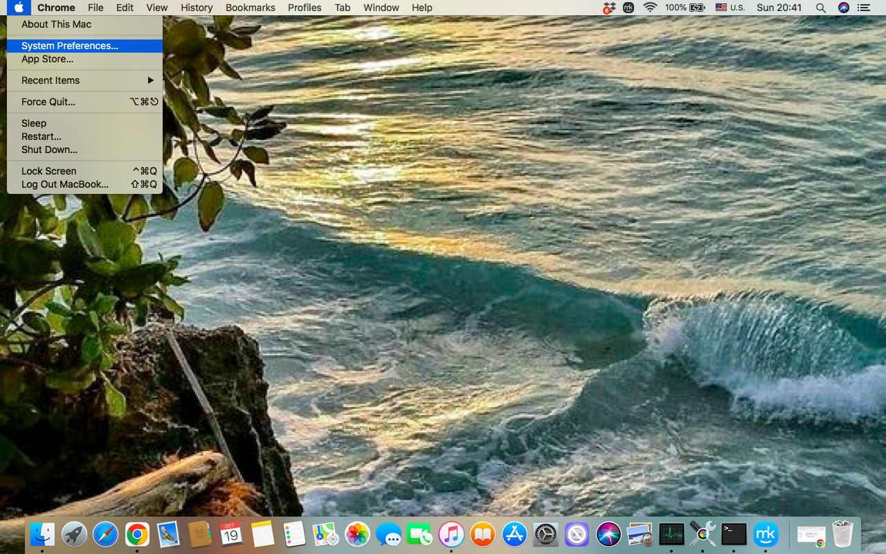 To eliminate Dictionary entries from Spotlight search on your Mac, first open the Apple menu and choose System Settings.