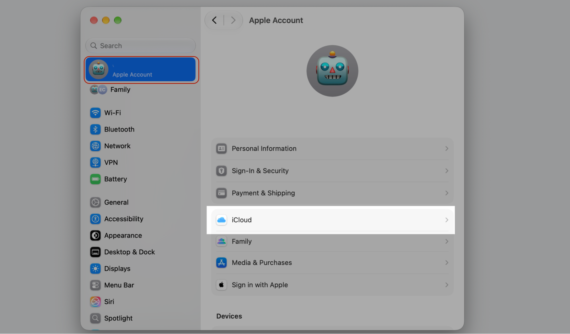 Apple Account pane in macOS System Settings with iCloud highlighted, where you open family iCloud storage usage on your Apple computer.