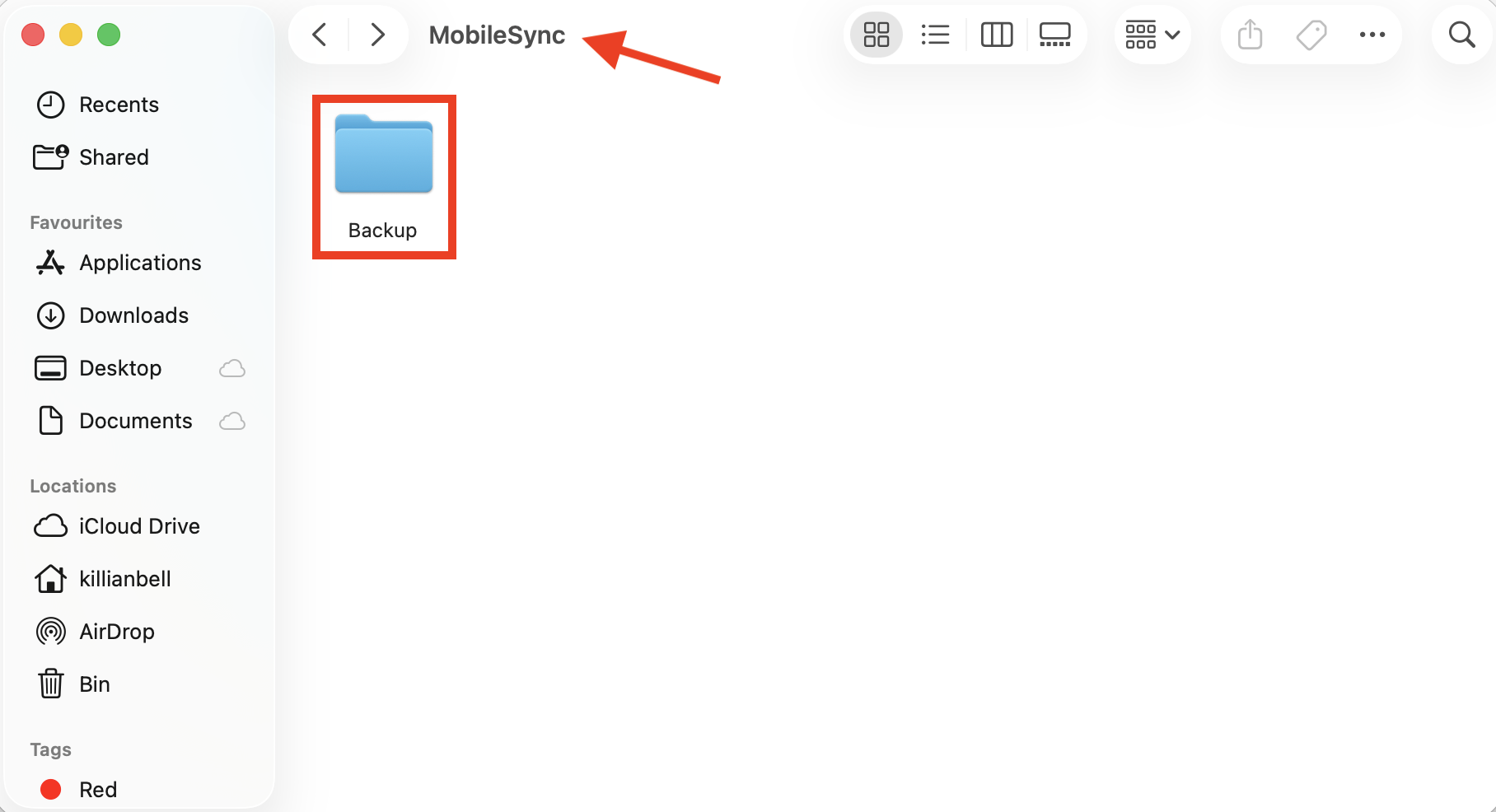 The Backup folder inside Finder on Mac. When you have iOS files taking up too much space on your Mac, go to the Backup folder in macOS and then delete all files.