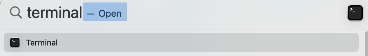 Ga naar Spotlight en typ Terminal. De app verschijnt bovenaan in de resultaten; klik erop om Time Machine-snapshots te verwijderen.