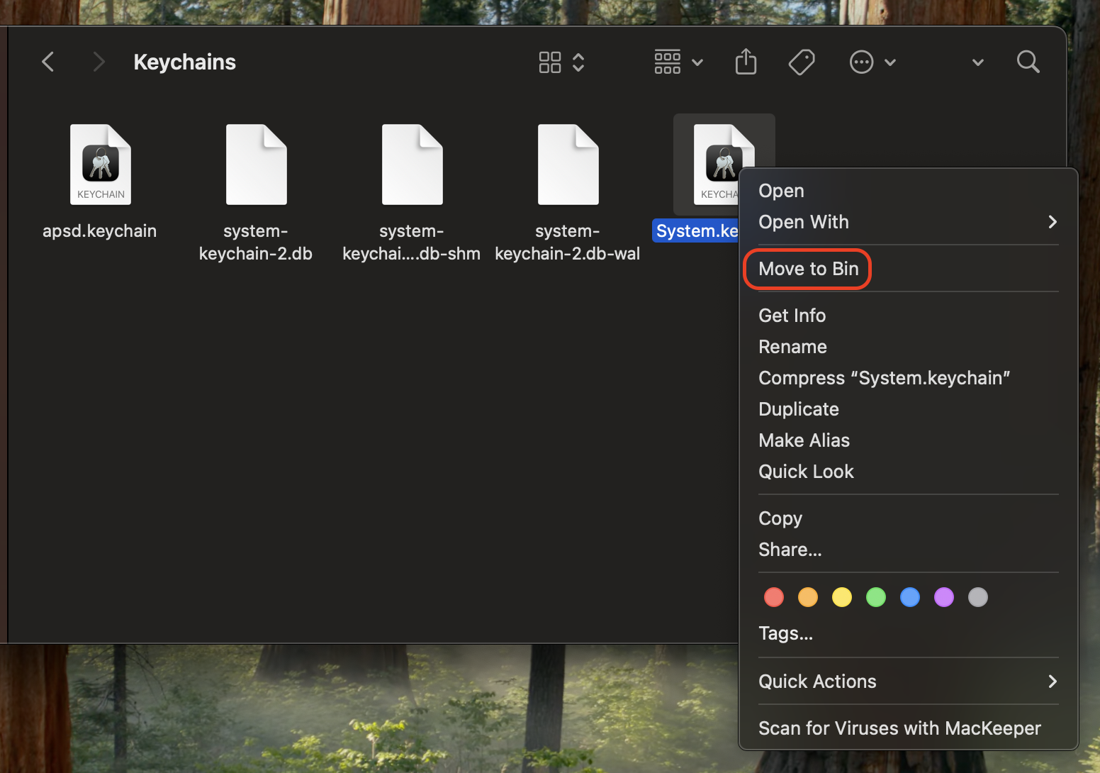 Find the System.keychain file in the folder, right-click its icon, and select the Move to Bin option to remove the corrupted certificate.