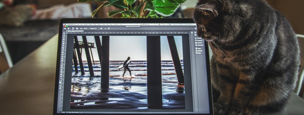 Best 11 Snipping Tools for Mac