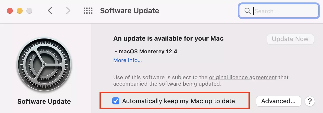 Automatically keep my Mac up to date option ticked - macOS Monterey