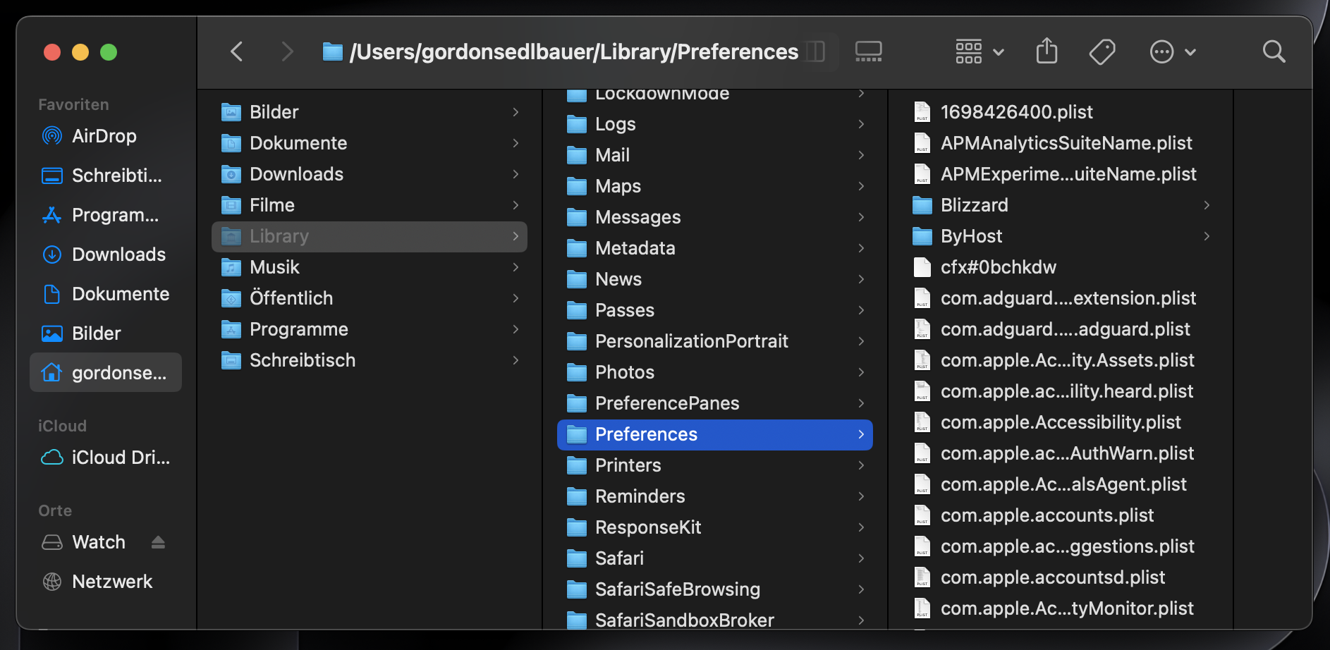 Finder auf dem Mac zeigt den Ordner Preferences an. Hier finden Sie alle Safari-Einstellungsdateien, die Sie bei Problemen löschen können.