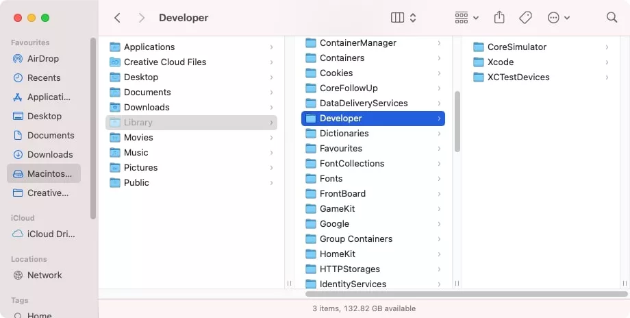 Delete developer files