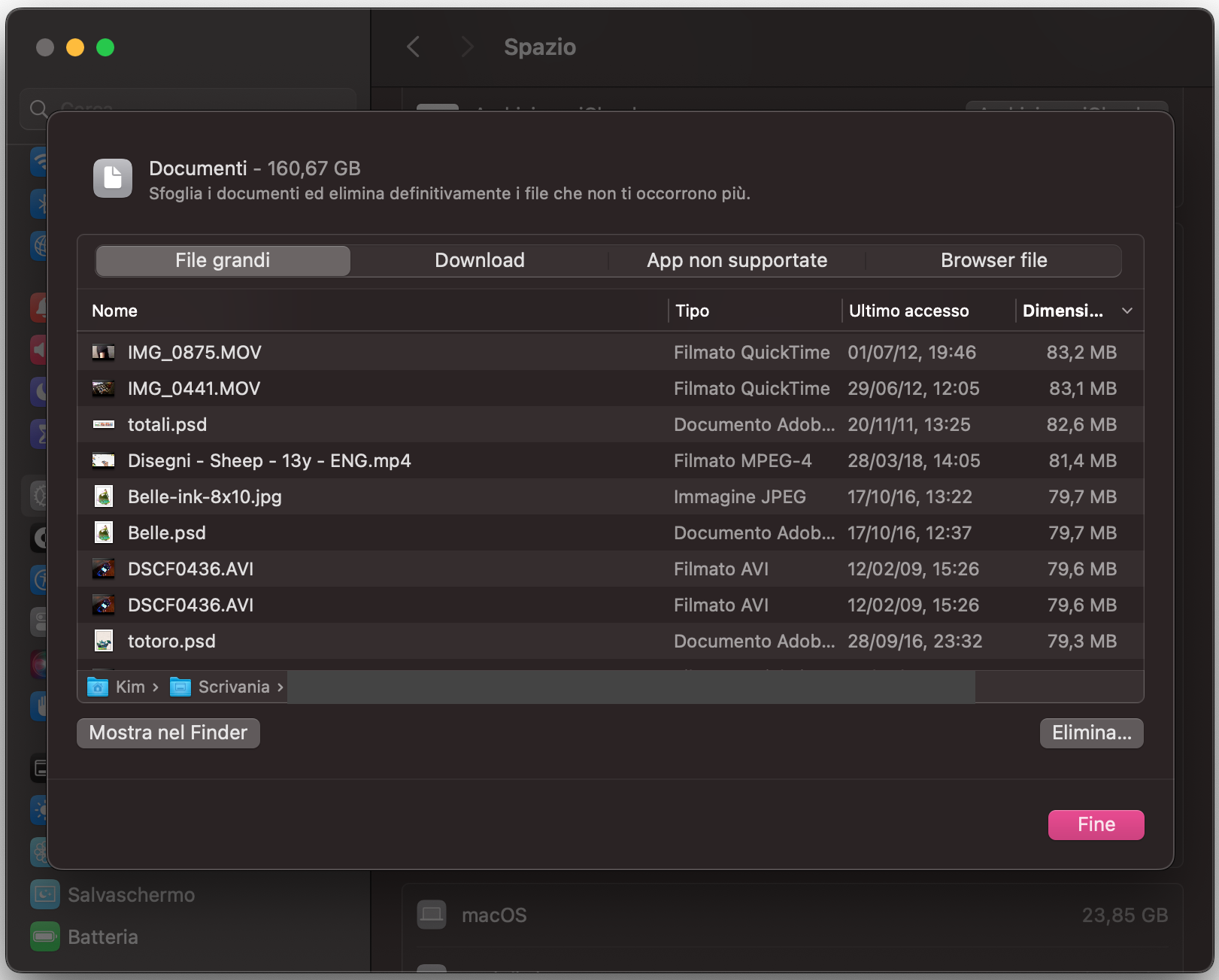 macOS include diversi strumenti per ottimizzare lo spazio di archiviazione. Tra questi c’è il rilevatore di file di grandi dimensioni, che identifica alcuni dei file più pesanti presenti sul tuo Mac.
