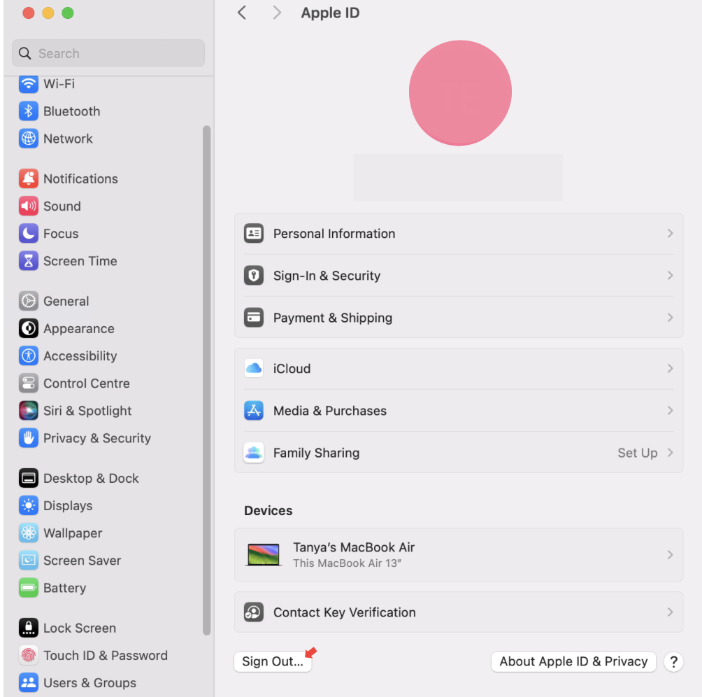 To force iCloud to sync, in case it’s the reason your Shared Albums are missing, first open your System Settings. From there, navigate to your Apple iCloud settings and click on Sign out. After a few seconds, you can sign back in, forcing iCloud to sync.