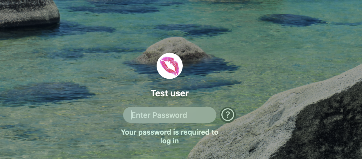 macOS login screen on a MacBook showing the Test user account with the Enter Password field used to log into the new test profile.