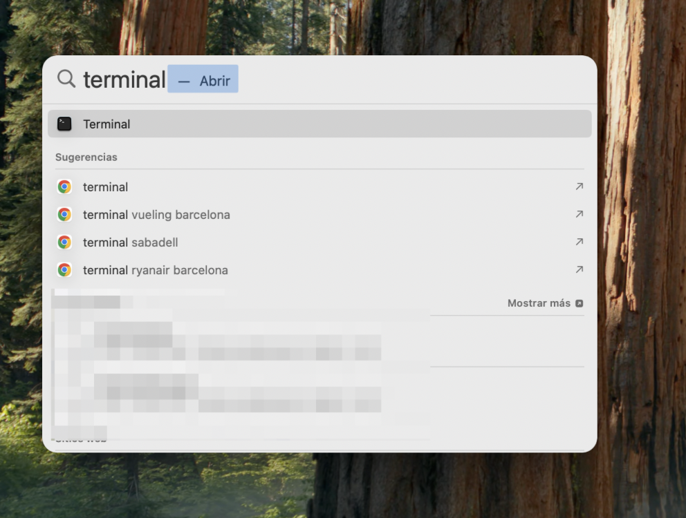 Abre la aplicación Terminal en tu Mac buscándola en la búsqueda de Spotlight. Hazlo para utilizar una línea de comandos y corregir el error de permisos de la aplicación. Esto puede hacer que la aplicación finalmente se abra.