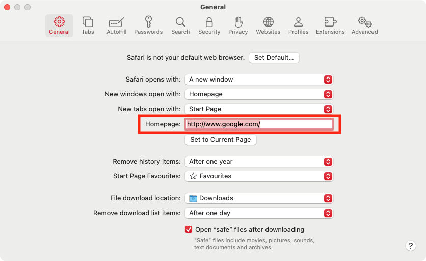 In the Safari settings panel, select the 'General' tab, then next to 'Homepage', make sure the homepage is set to whatever you want.