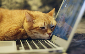 Essential Keyboard Shortcuts for Mac Users Essential Keyboard Shortcuts for Mac Users