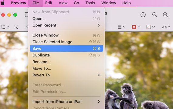 Preview > File menu > Save Preview > File menu > Save