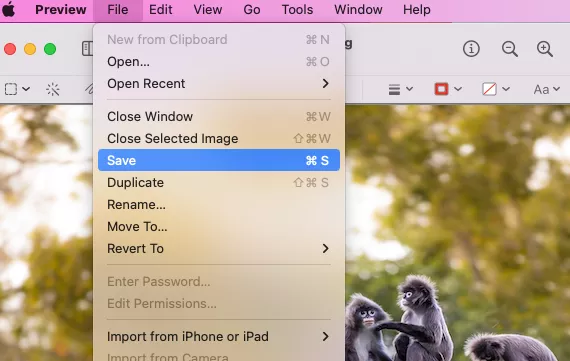 Preview > File menu > Save