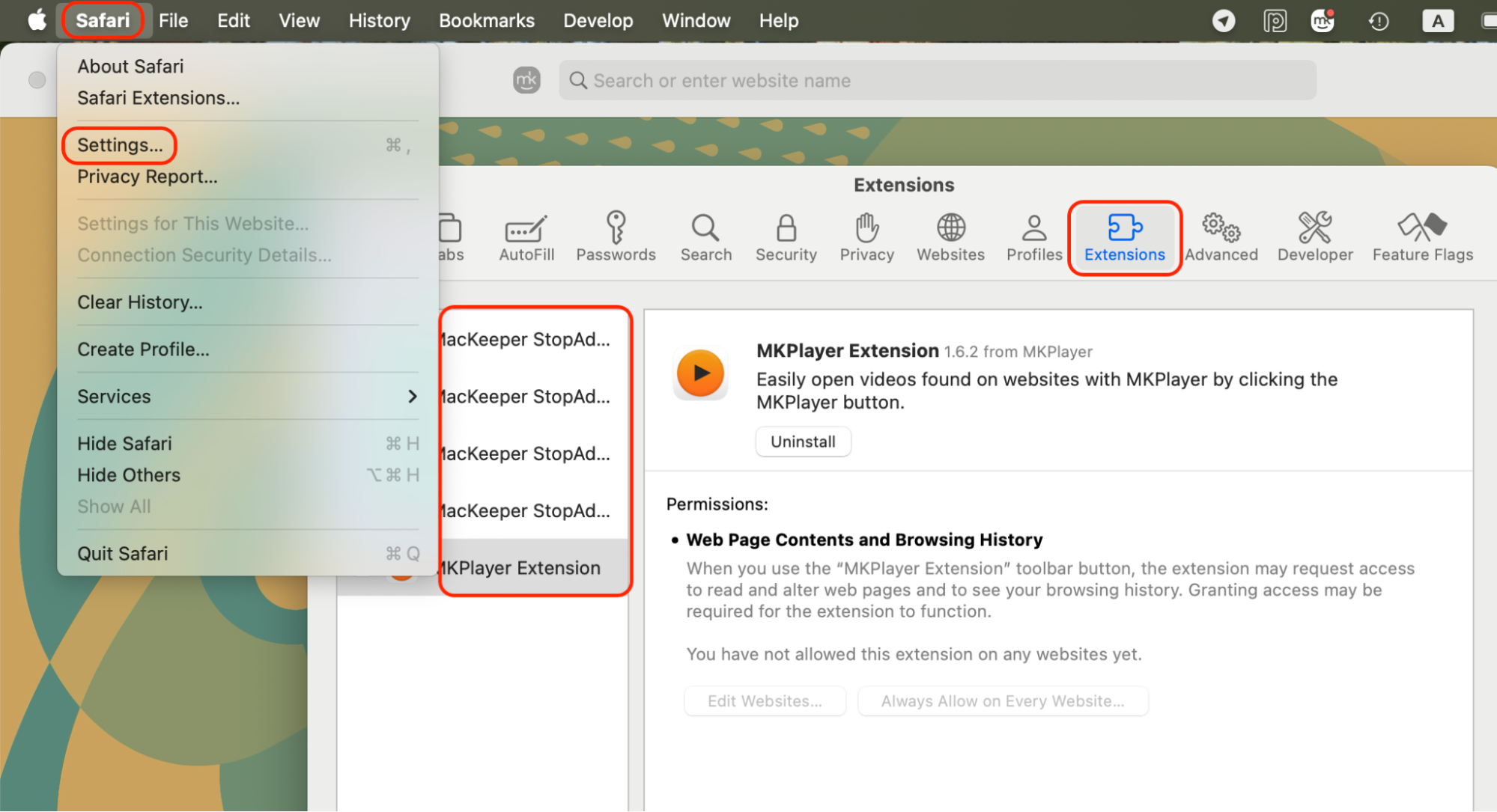 Opening Safari settings, switching to the Extensions tab, and reviewing the full list of installed extensions to select and remove unwanted add-ons.
