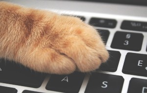 5 Ways to Protect Yourself from Data Breaches 5 Ways to Protect Yourself from Data Breaches