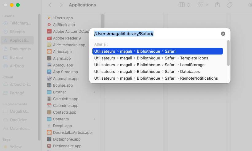 Dans le Finder, cliquez sur l'onglet Aller en haut de votre écran pour supprimer les données du site Web. Choisissez ensuite Aller au dossier et tapez ~/Bibliothèque/Safari > Aller. Supprimez tous les fichiers dont le nom contient History.db et le fichier LastSession.plist. Dans le Finder, cliquez sur l'onglet Aller en haut de votre écran pour supprimer les données du site Web. Choisissez ensuite Aller au dossier et tapez ~/Bibliothèque/Safari > Aller. Supprimez tous les fichiers dont le nom contient History.db et le fichier LastSession.plist.