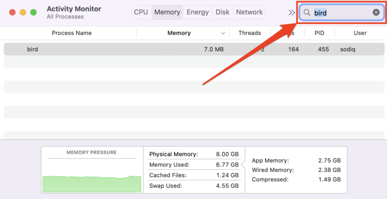 To Force Quit all Bird processes, you’ll first need to open Activity Monitor via the Utilities folder in your Applications. Once opened, type bird into the search bar.