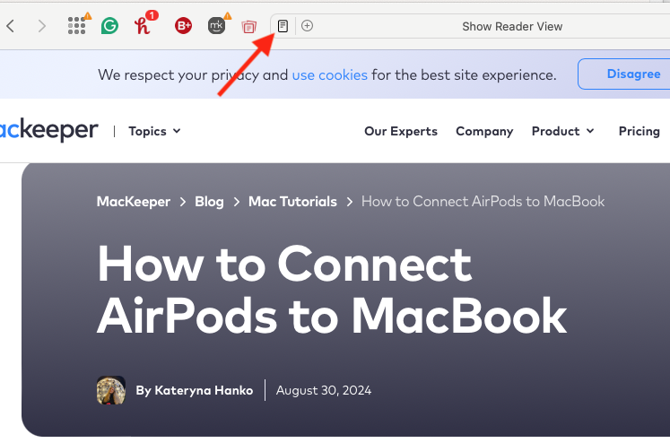 If Safari's reading view is available on a page, you'll see an icon on the left-hand side of your address bar. Click it and Safari will present the page as text only.