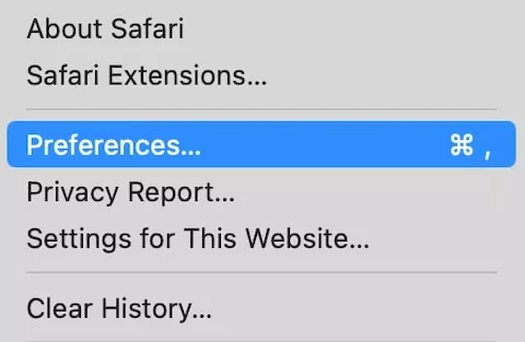 safari preferences